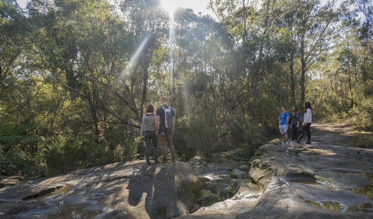 A group of friends bushwalking on the Cascades trail in Garigal National Park. Photo: John Spencer &copy; OEH