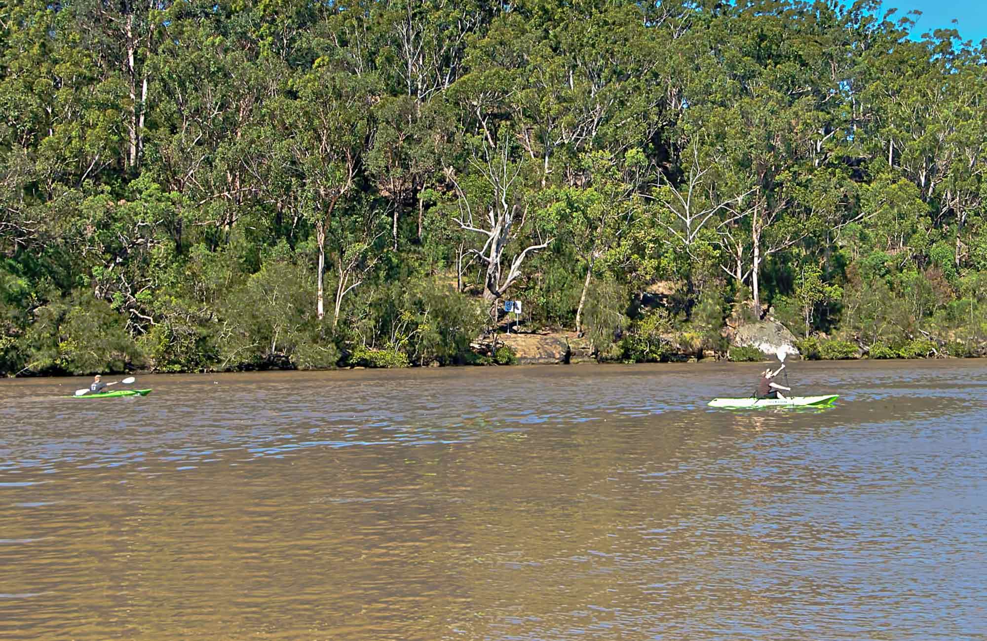 People kayaking on the river. Photo: John Spencer