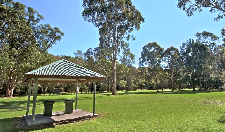 Fitzpatrick Park picnic area. Photo: John Spencer