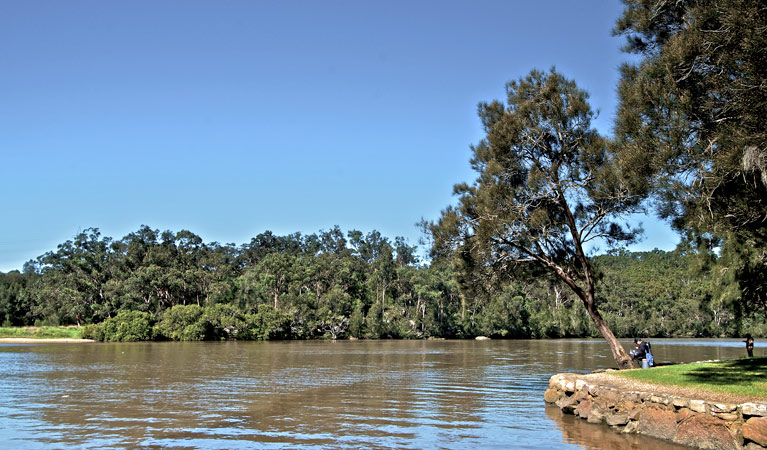 Fitzpatrick Park picnic area, Georges National Park. Photo: John Spencer