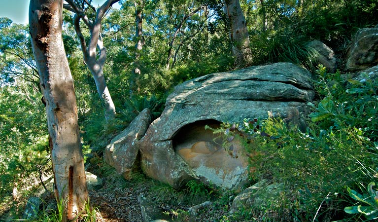 Ridge walking track, Georges River National Park. Photo: John Spencer