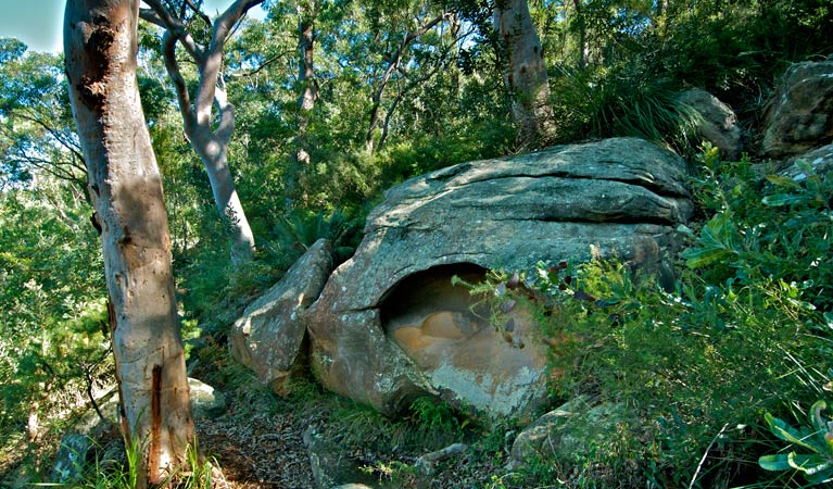 Ridge walking track, Georges River National Park. Photo: John Spencer