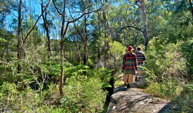 Yeramba Lagoon loop track, Georges River National Park. Photo: John Spencer