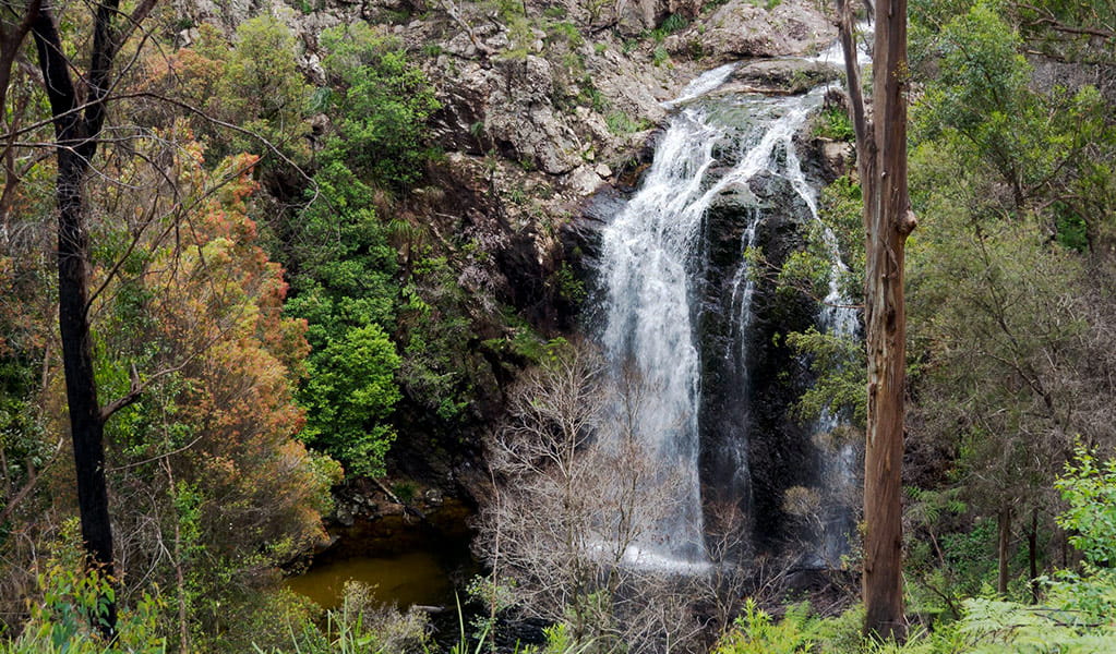 A waterfall cascades into a pool in a rugged forest setting in Gibraltar Range National Park. Photo credit: Leah Pippos &copy; DPIE