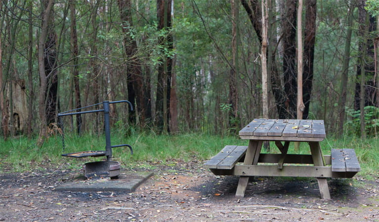 A picnic table and fire ring at Boundary Falls campground and picnic area, Gibraltar Range National Park. Photo: Robert Cleary/DPIE