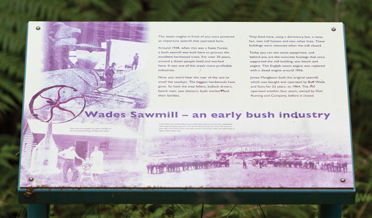 An information sign at Boundary Falls campground and picnic area, Gibraltar Range National Park. Photo: Robert Cleary/DPIE