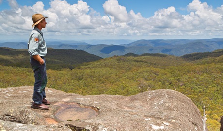 Dandahra Crags walking track, Gibraltar Range National Park. Photo: Rob Cleary/Seen Australia