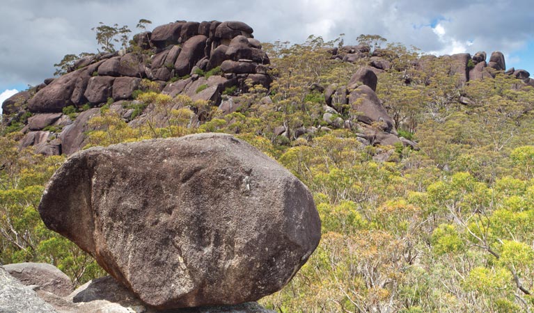 Dandahra Crags walking track, Gibraltar Range National Park. Photo: Rob Cleary/Seen Australia