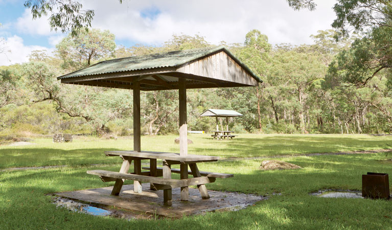 Dandahra picnic area, Gibraltar Range National Park. Photo &copy; Rob Cleary