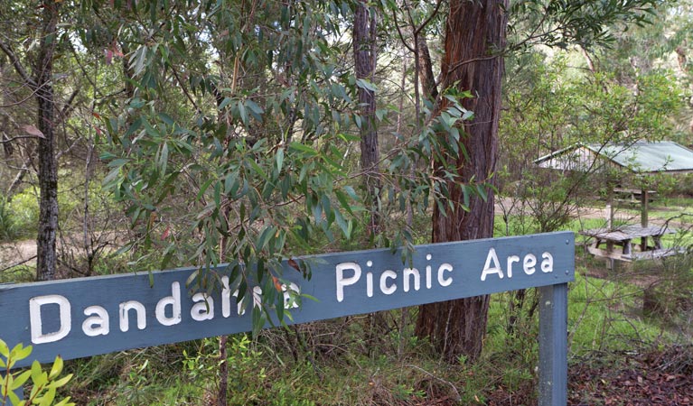 Dandahra picnic area, Gibraltar Range National Park. Photo &copy; Rob Cleary