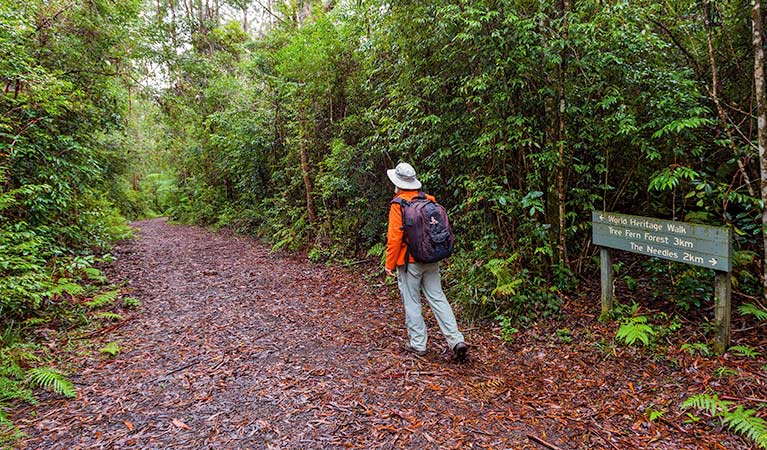 Gibraltar-Washpool World Heritage walk, Gibraltar National Park. Photo: Rob Cleary &copy; OEH