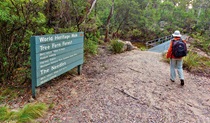 World Heritage Walk, Gibraltar-Range National Park. Photo: Rob Cleary &copy; OEH