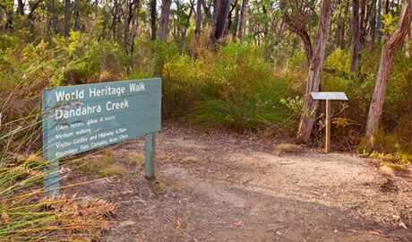 Little Dandahra Creek walking track, Gilbraltar Range National Park. Photo: Rob Cleary  &copy; OEH