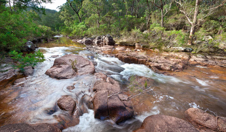 Little Dandahra Creek walking track, Gilbraltar Range National Park. Photo: Rob Cleary &copy; OEH