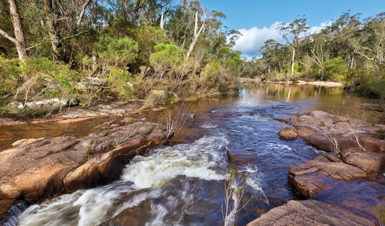 Little Dandahra Creek walking track, Gilbraltar Range National Park. Photo: Rob Cleary &copy; OEH