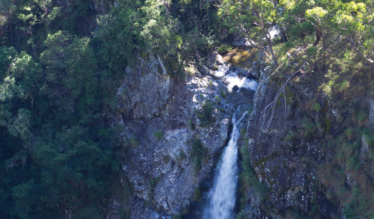 Lyrebird Falls walking track, Gibraltar Range National Park. Photo &copy; Rob Cleary