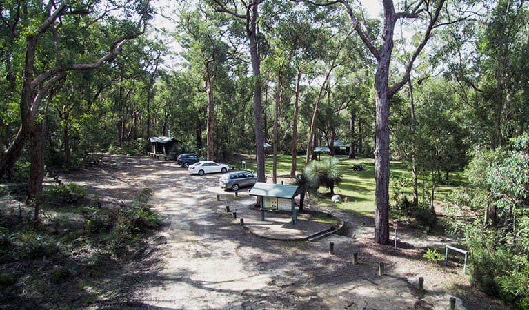 Car park and picnic areas, Mulligans campground, Gibraltar Range National Park. Photo: D Hayden/OEH