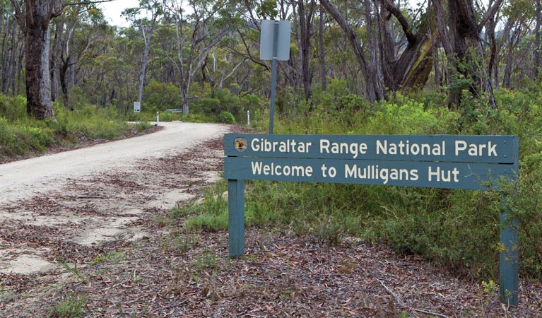 Mulligans campground, Gibraltar Range National Park. Photo: seenaustralia.com.au