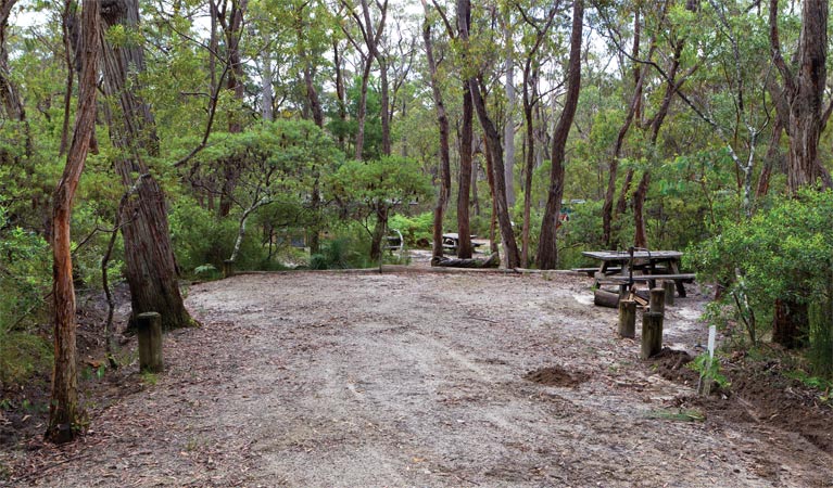 Mulligans campground, Gibraltar Range National Park. Photo: seenaustralia.com.au