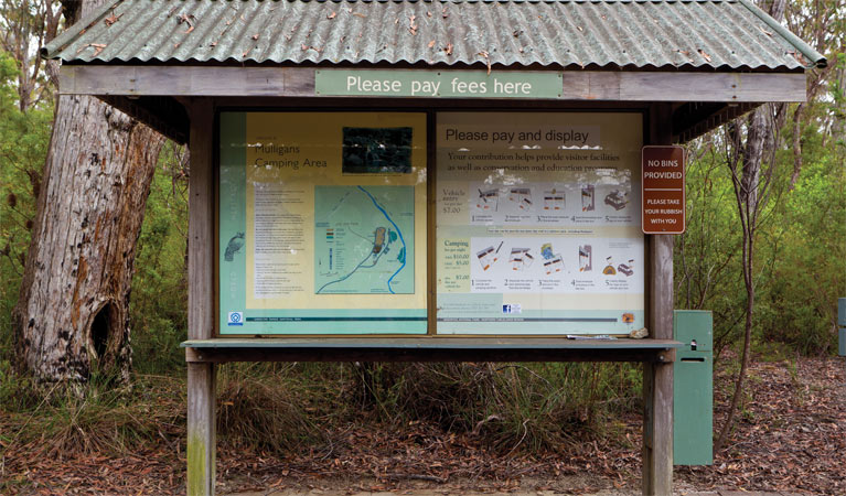 Mulligans campground, Gibraltar Range National Park. Photo: seenaustralia.com.au