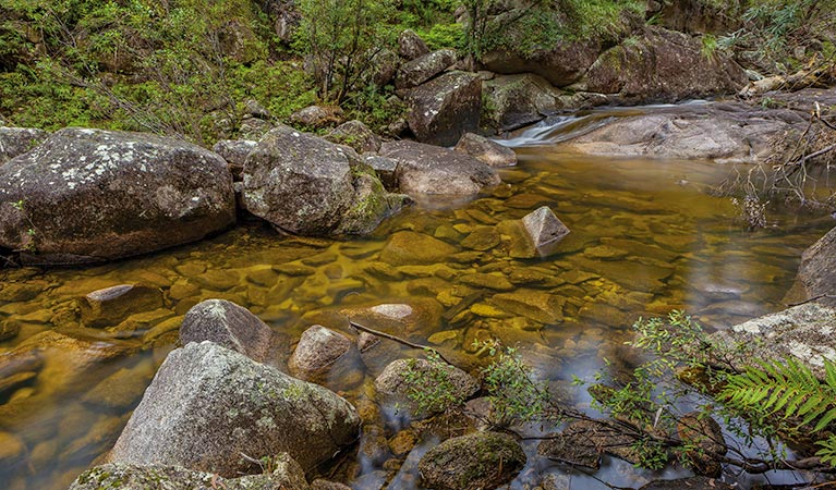 Murrumbooee Cascades walking track, Gibraltar Range National Park. Photo: Rob Cleary &copy; OEH