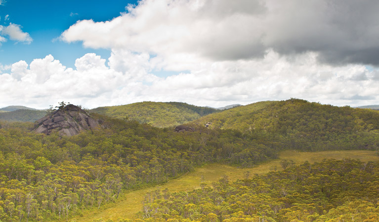 Dandahra Crags walking track, Gibraltar Range National Park. Photo: Robert Cleary &copy; DPIE