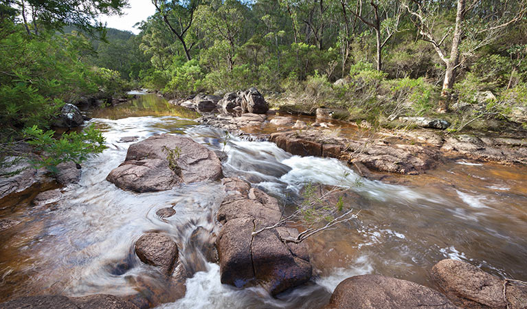 Little Dandahra Creek walking track, Gilbraltar Range National Park. Photo: Robert Cleary &copy; DPIE