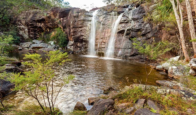 Duffer Creek walk, Gibraltar Range National Park. Photo: Robert Cleary &copy; DPIE