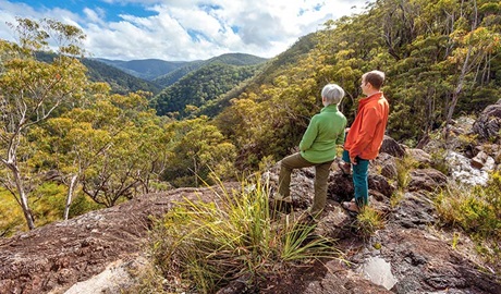 Duffer Creek walk, Gibraltar Range National Park. Photo: Robert Cleary &copy; DPIE