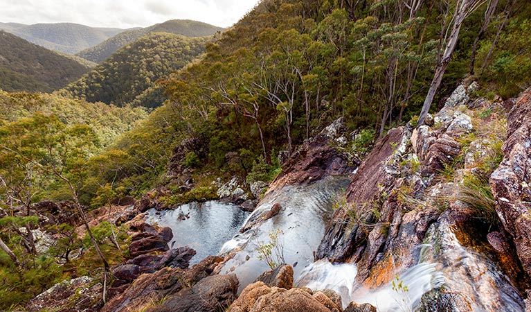 Duffer Creek walk, Gibraltar Range National Park. Photo: Robert Cleary &copy; DPIE