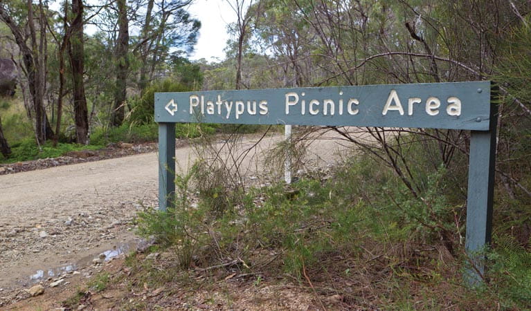 Platypus picnic area, Gibraltar Range National Park. Photo &copy; Rob Cleary