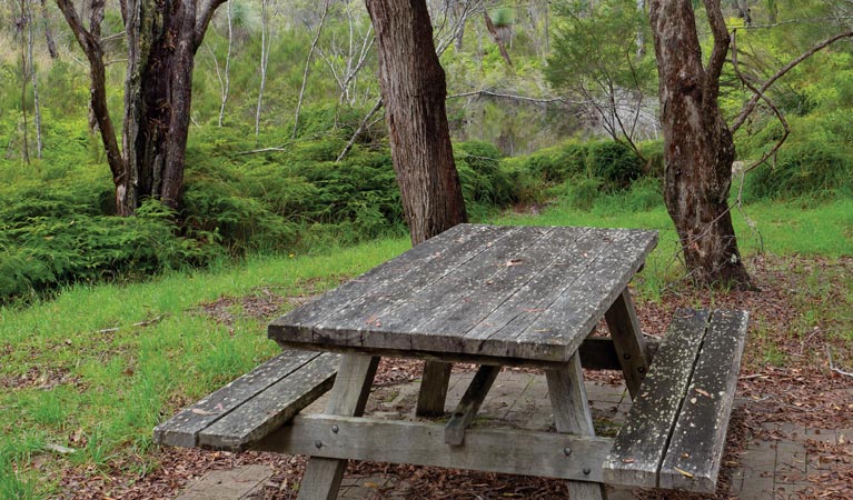 Platypus picnic area, Gibraltar Range National Park. Photo &copy; Rob Cleary