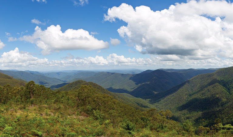 Raspberry Lookout, Gibraltar Range National Park. Photo &copy; Rob Cleary