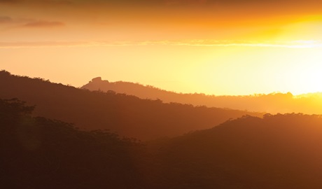 Raspberry Lookout, Gibraltar Range National Park. Photo &copy; Rob Cleary