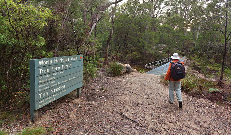 A bushwalker passes signage for The Needles walking track on his way to a bridge over Little Dandahra Creek. Photo: Robert Cleary &copy; DPIE