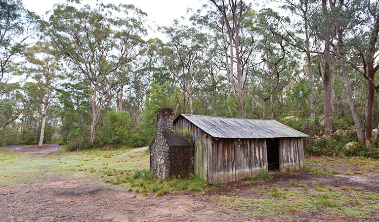 Exterior of a historic hut with a stone chimney and tin roof, set in a small clearing among tall trees in Gibraltar Range National Park. Photo: Robert Cleary &copy; OEH