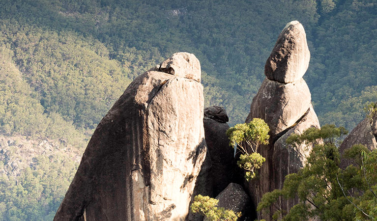 View of several of the 6 tall granite columns that make up The Needles, with a steep forested valley in the background.  Photo &copy; Leah Pippos