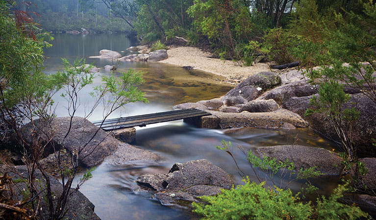 View of wood plank crossing over a flowing creek, with a pool and forest in the background. Photo: Robert Cleary &copy; OEH