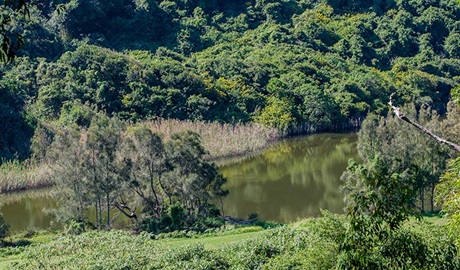 Bombala walking track, Glenrock State Conservation Area. Photo: John Spencer &copy; OEH