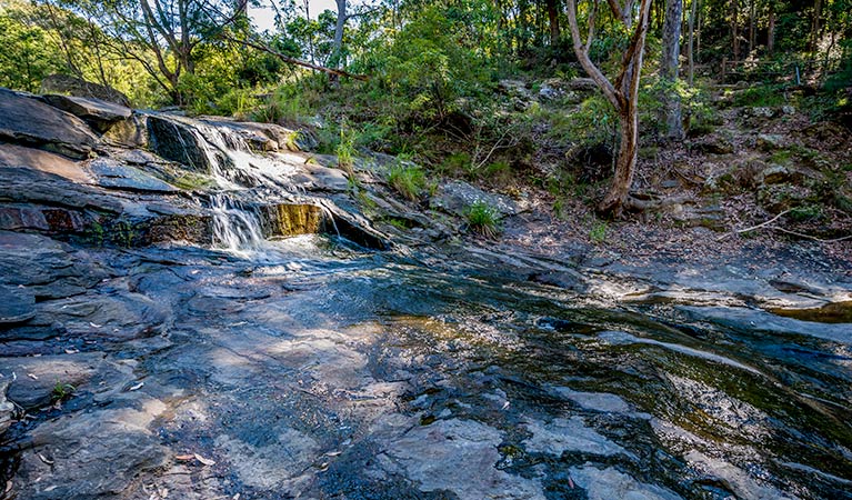 Bombala walking track, Glenrock State Conservation Area. Photo: John Spencer &copy; OEH