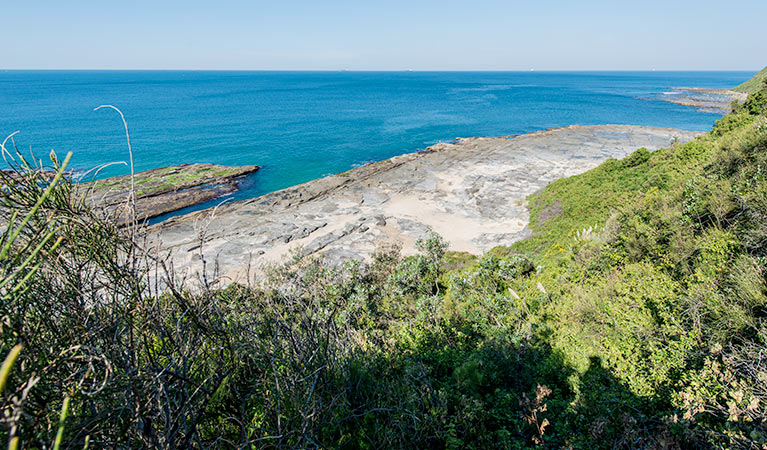 Burwood trail, Glenrock State Conservation Area. Photo: John Spencer &copy; OEH