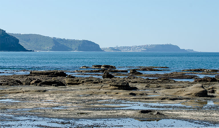 Burwood trail, Glenrock State Conservation Area. Photo: John Spencer &copy; OEH