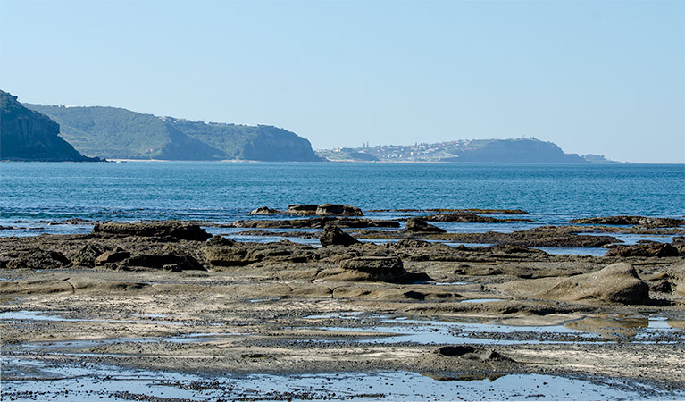 Burwood trail, Glenrock State Conservation Area. Photo: John Spencer &copy; OEH