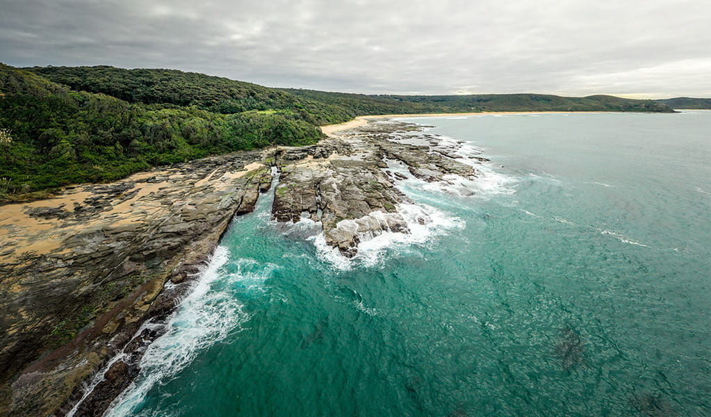 Waves from the ocean wash over the rock platform at Dudley Beach, Glenrock State Conservation Area, with coastal forest in the background. Photo: Daniel Parsons &copy; DPE