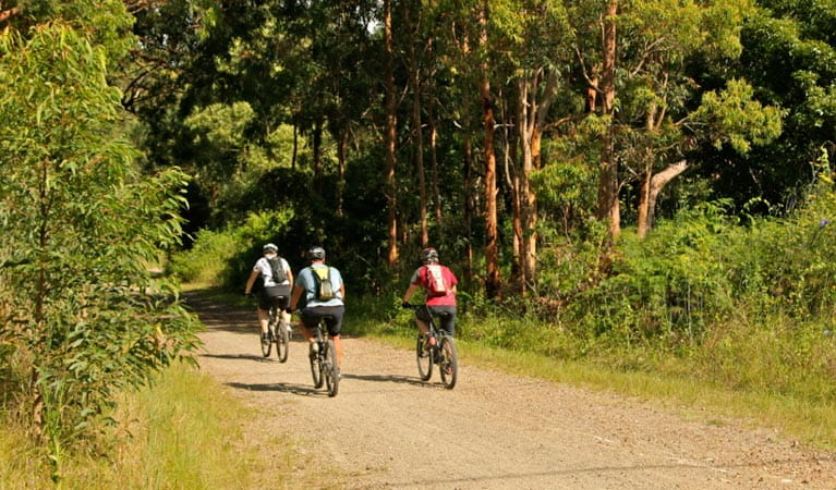 Mountain bikers in Glenrock State Conservation Area. Photo: Shaun Sursok