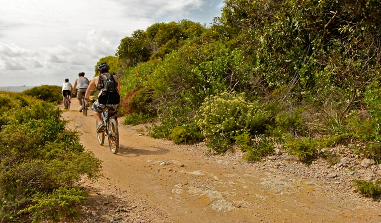 Mountain biking trails  NSW National Parks