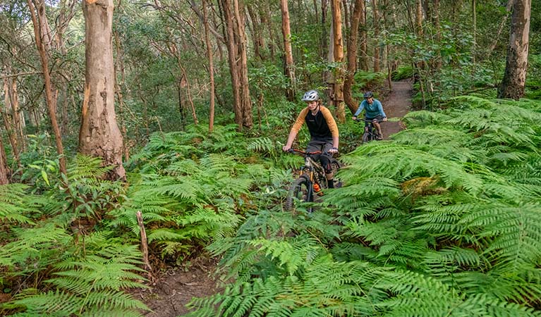 2 cyclists on Glenrock mountain biking trails. Photo: John Spencer &copy; DPE