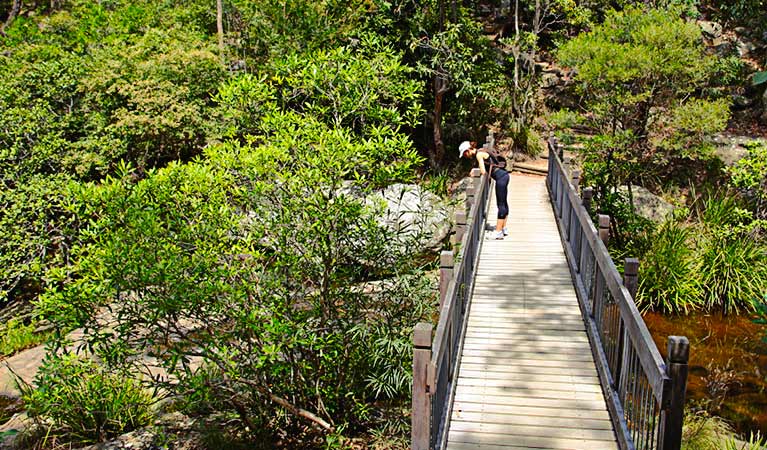 Yuelarbah Track, Glenrock State Conservation Area. Photo: Shaun Sursok/NSW Government