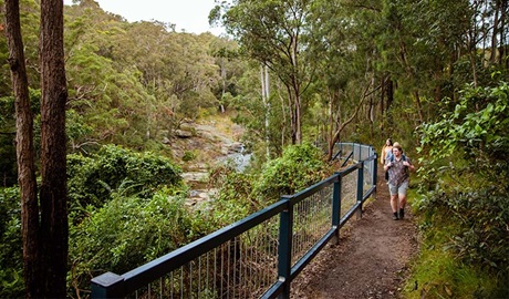 3 people walking on Yuelarbah walking track in Glenrock State Conservation Area. They're surrounded by coastal rainforest, with Flaggy Creek flowing in the background. Photo: Jared Lyons &copy; DPE