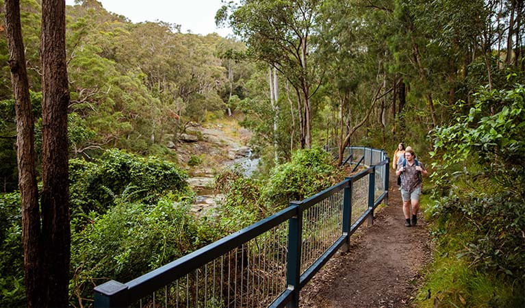 3 people walking on Yuelarbah walking track in Glenrock State Conservation Area. They're surrounded by coastal rainforest, with Flaggy Creek flowing in the background. Photo: Jared Lyons &copy; DPE